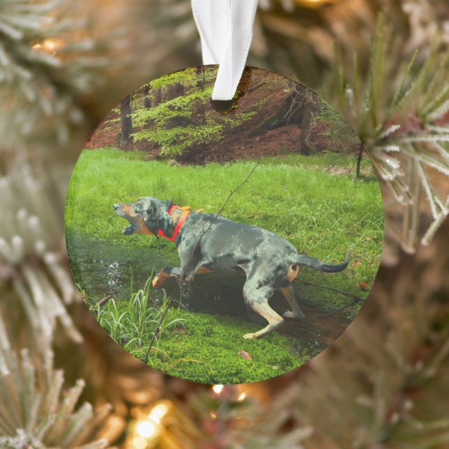 Catahoula and Wild Hog Ornament (Tree)