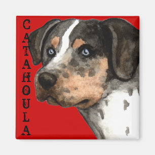 Catahoula Color Block Magnet