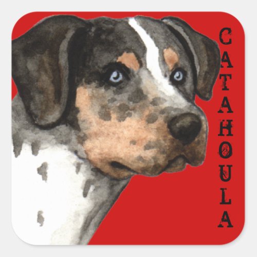 Catahoula Color Block Square Sticker