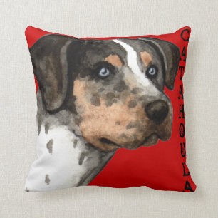 Catahoula Color Block Throw Pillow