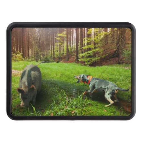 Catahoula Leopard Dog Baying Feral Hog in Forest Hitch Cover