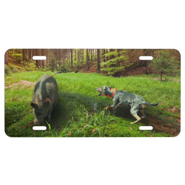 rottweiler hog hunting