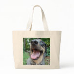 Catahoula