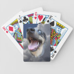 Catahoula