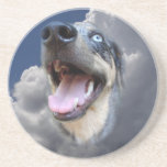 Catahoula
