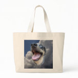 Catahoula