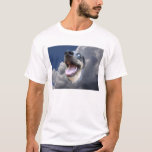 Catahoula