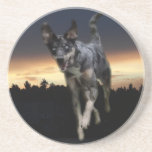 Catahoula