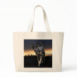 Catahoula