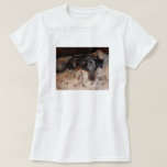 Catahoula
