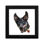 Catahoula