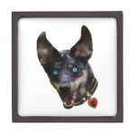 Catahoula