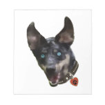 Catahoula