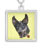 Catahoula