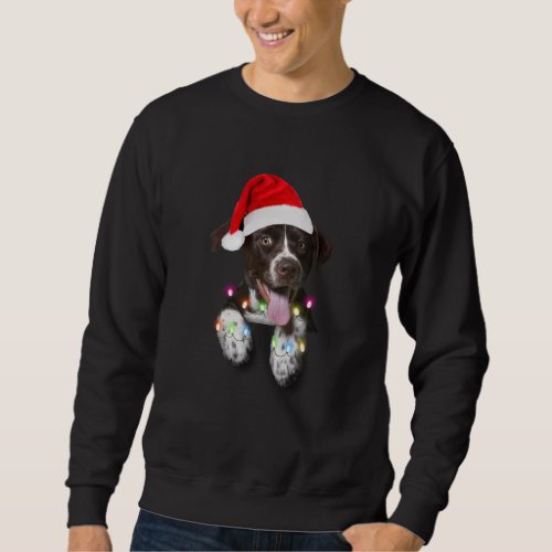 catahoula puppy sitting christmas light sweatshirt