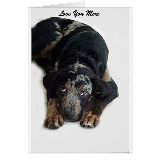 Catahoula Rescue Cards (Front)