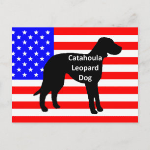 catahoula silhouette name on usa-flag postcard