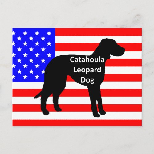 catahoula silhouette name on usa_flag postcard