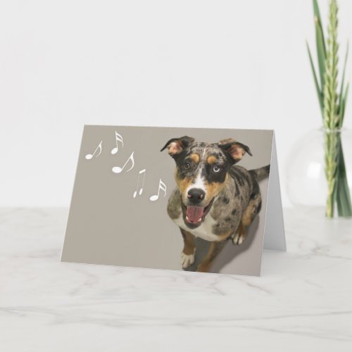 Catahoula Singing Card by Focus for a Cause