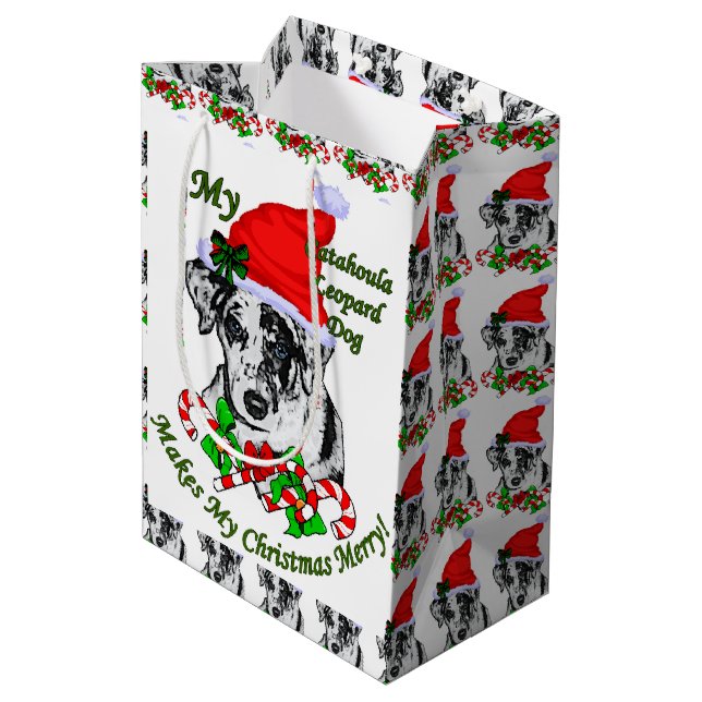 Catahula Leopard Lovers Christmas Medium Gift Bag (Back Angled)