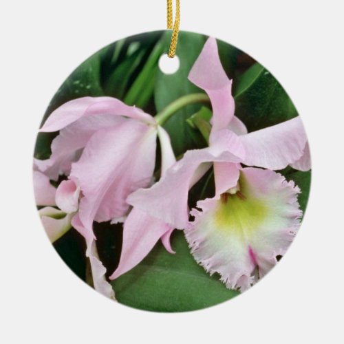 Catalaya orchid  flowers ceramic ornament
