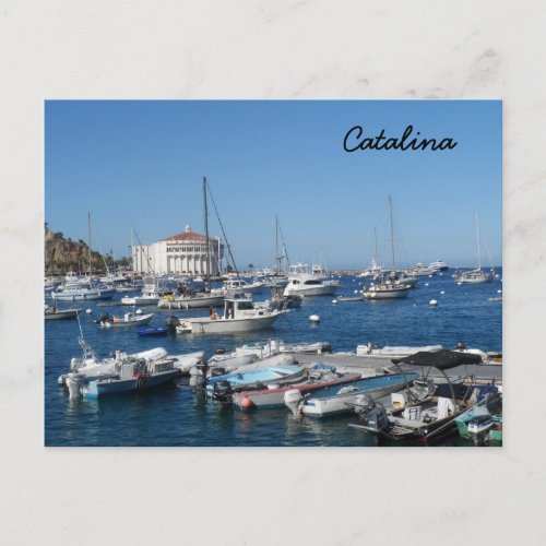 Catalina California Postcard