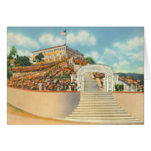 Catalina Cards