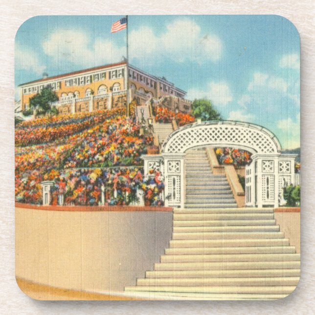 Catalina Drink Coaster (Front)