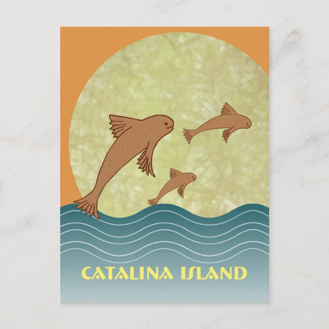 Catalina Flying Fish Postcard (Front)