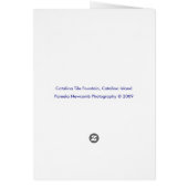 Catalina Fountain Cards (Back)