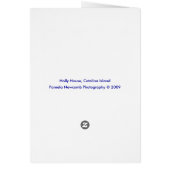 Catalina Holly House 2 (Back)