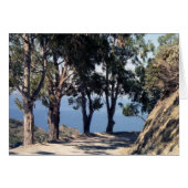 Catalina Island (Front Horizontal)