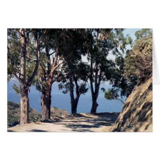 Catalina Island (Front Horizontal)