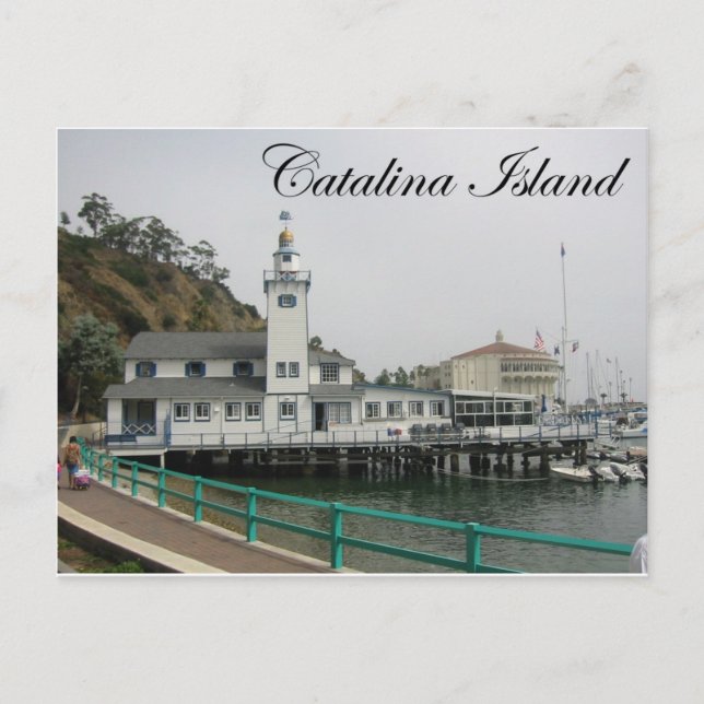 Catalina Island 3 Postcard (Front)