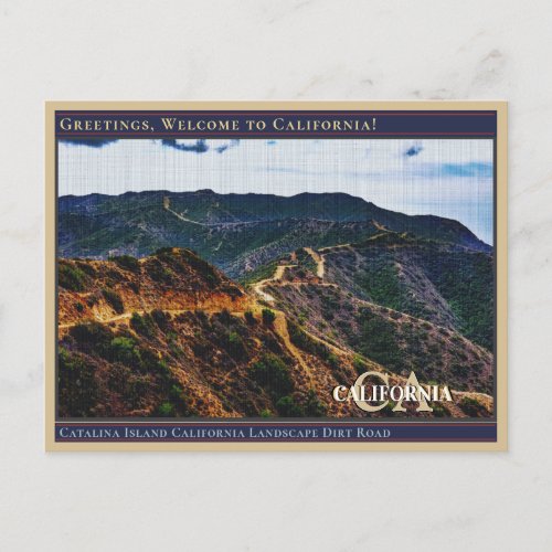 Catalina Island California Landscape Dirt Road  Postcard