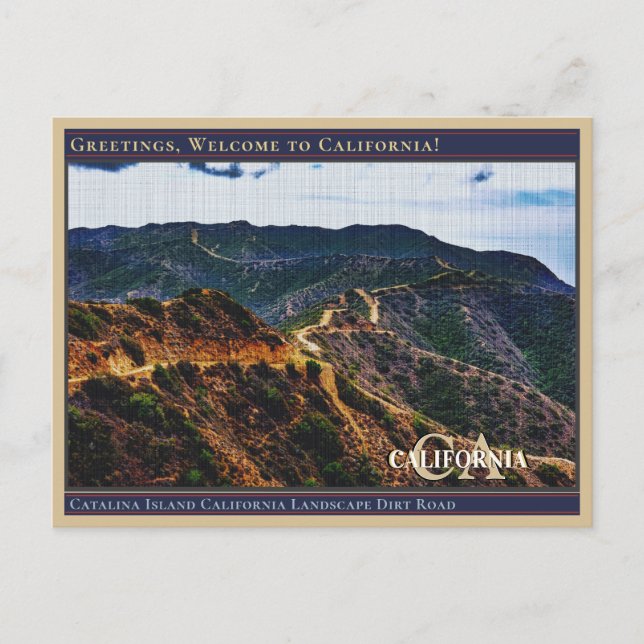 Catalina Island California Landscape Dirt Road  Postcard (Front)