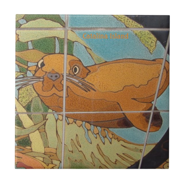 CATALINA ISLAND CERAMIC TILE FACE IN THE WATER (Front)