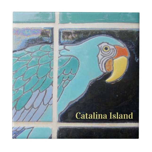 CATALINA ISLAND CERAMIC TILE THE LOOK (Front)