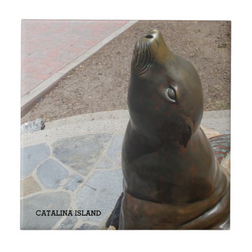 CATALINA ISLAND CERAMIC TILE THE NOSE