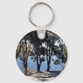 Catalina Island Keychain