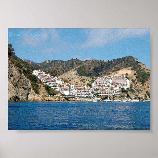 Catalina Island Mountains Poster (Front)