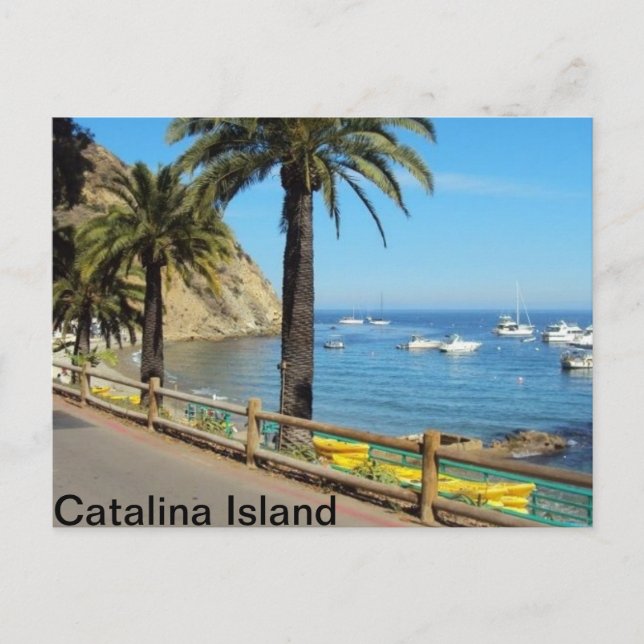 Catalina Island Post card (Front)