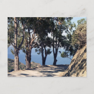 Catalina Island Postcard