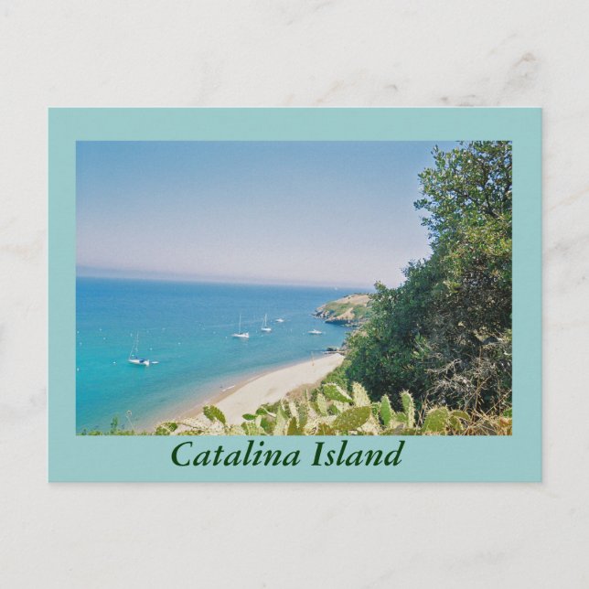 Catalina Island Postcard (Front)