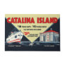 Catalina Island Vintage Casino Travel Poster Doormat