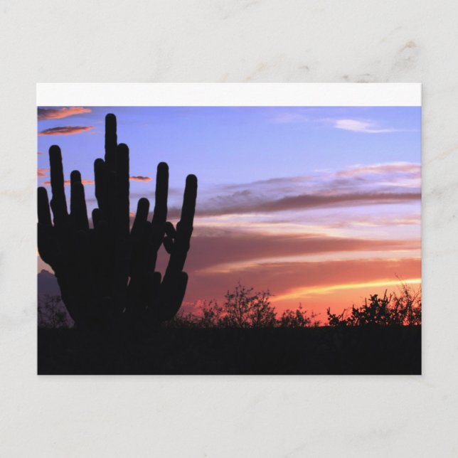 Catalina Mountains Sunset Postcard (Front)