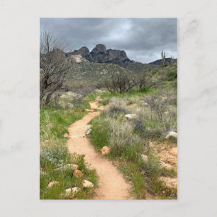 Catalina Mountains Trail Postcard