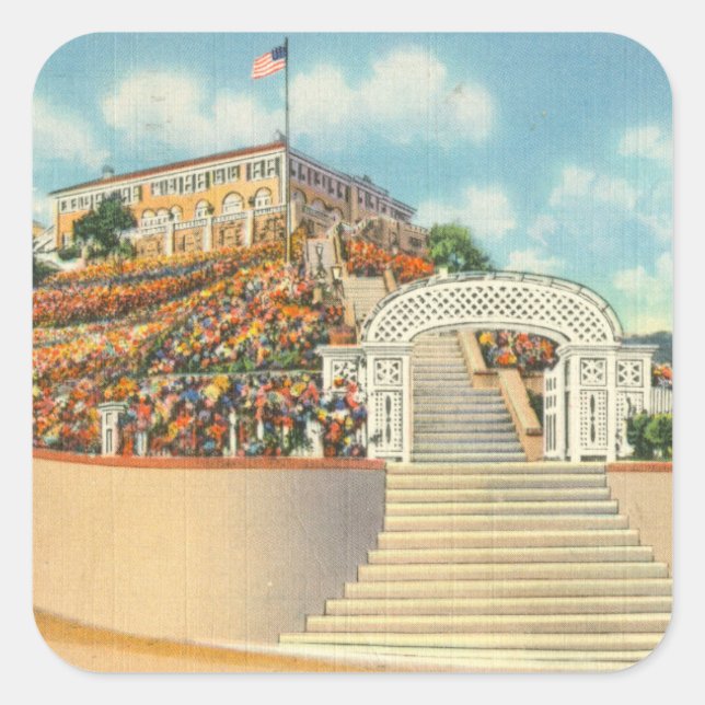 Catalina Square Sticker (Front)