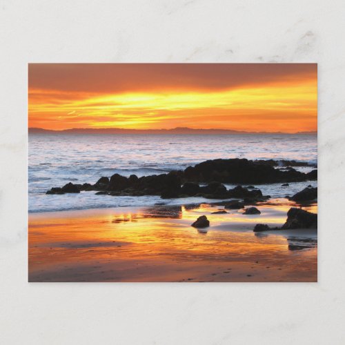 Catalina Sunset Postcard