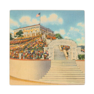 Catalina Wood Coaster